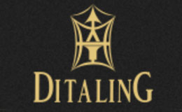 迪塔手表品牌調(diào)研